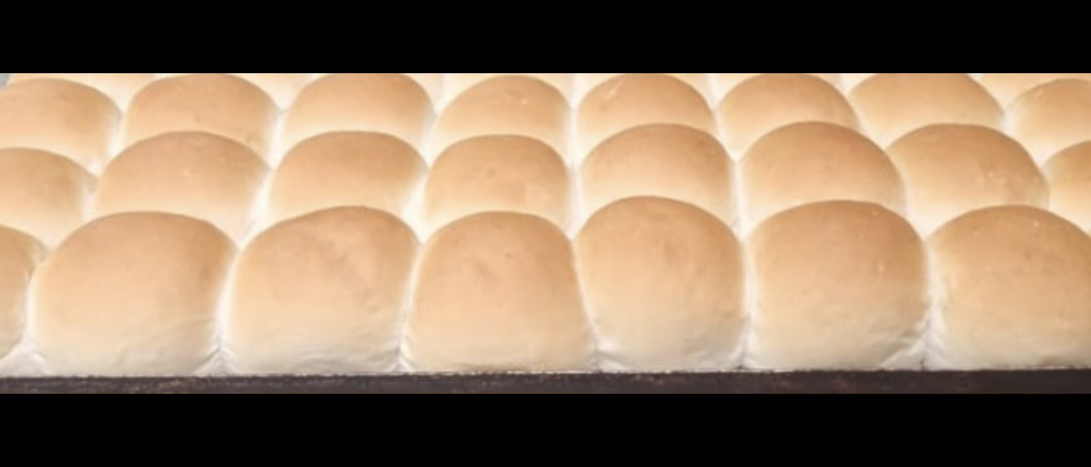 Rows of Scrums soft white rolls on a bakery tray